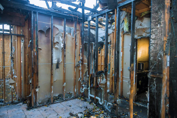 Professional Smoke Damage Removal technician working in Carrollton, VA